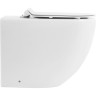 Унитаз приставной безободковый BELBAGNO BB2141CBR/BB2111SC